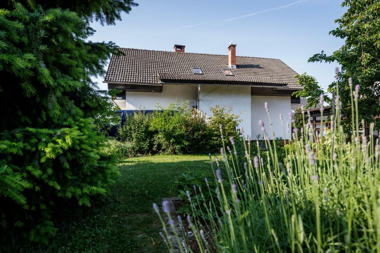 Cosy & Spacious Apt. Benc Zirovnica Exterior photo
