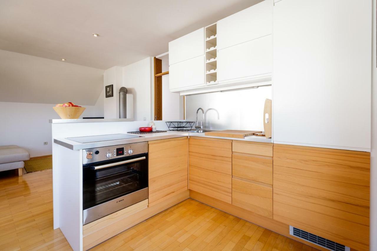 Cosy & Spacious Apt. Benc Zirovnica Exterior photo