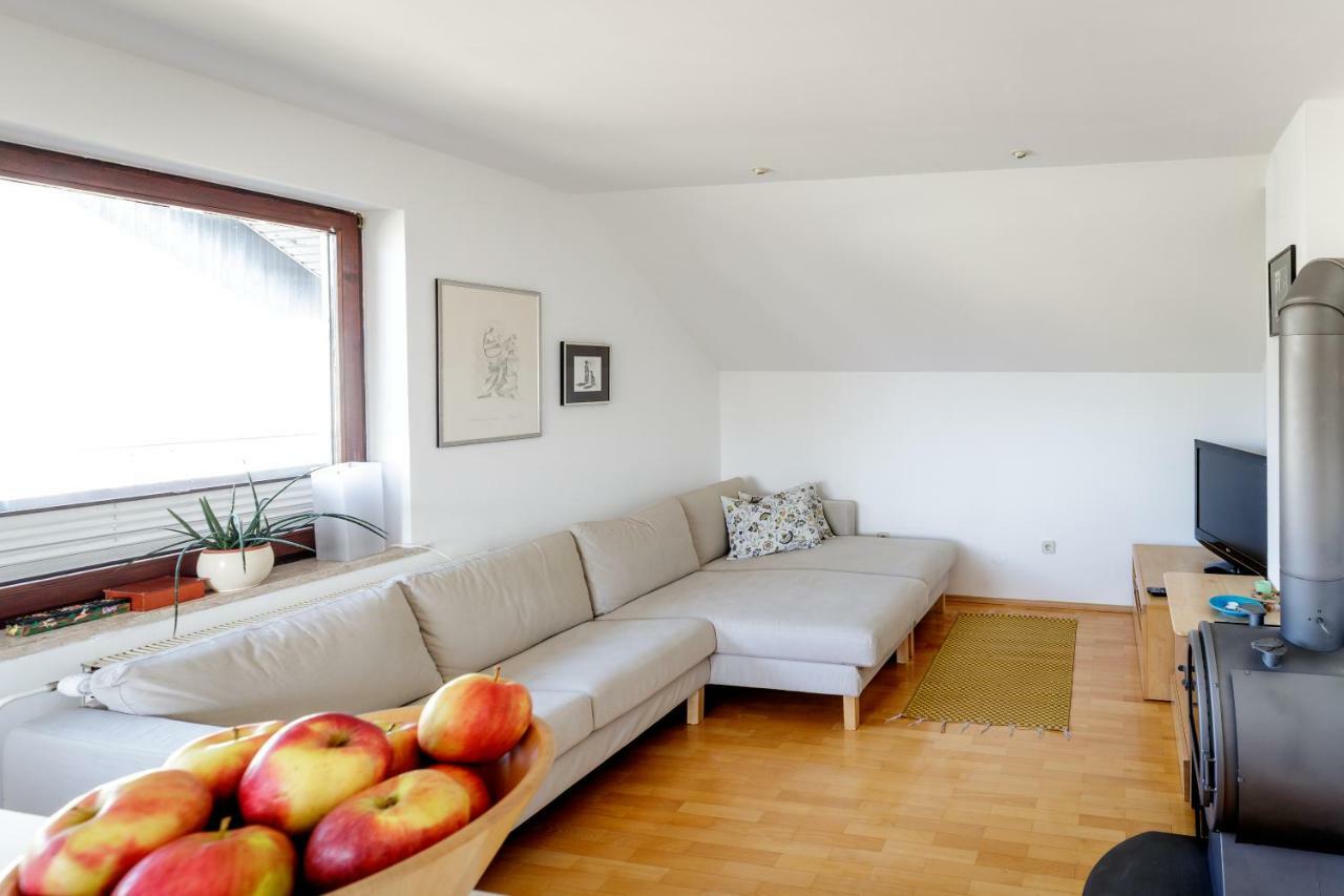 Cosy & Spacious Apt. Benc Zirovnica Exterior photo