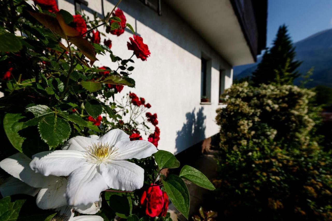 Cosy & Spacious Apt. Benc Zirovnica Exterior photo