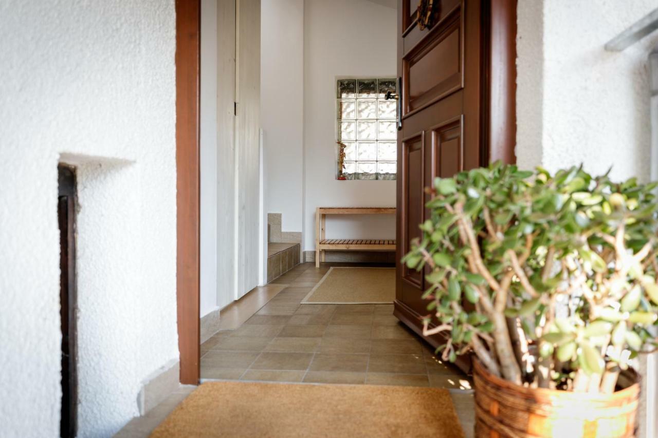 Cosy & Spacious Apt. Benc Zirovnica Exterior photo