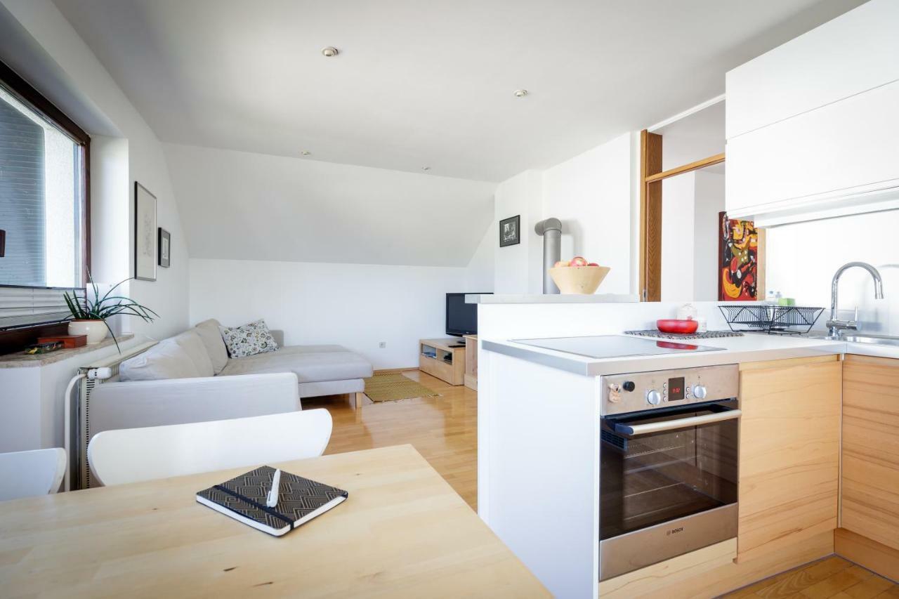 Cosy & Spacious Apt. Benc Zirovnica Exterior photo